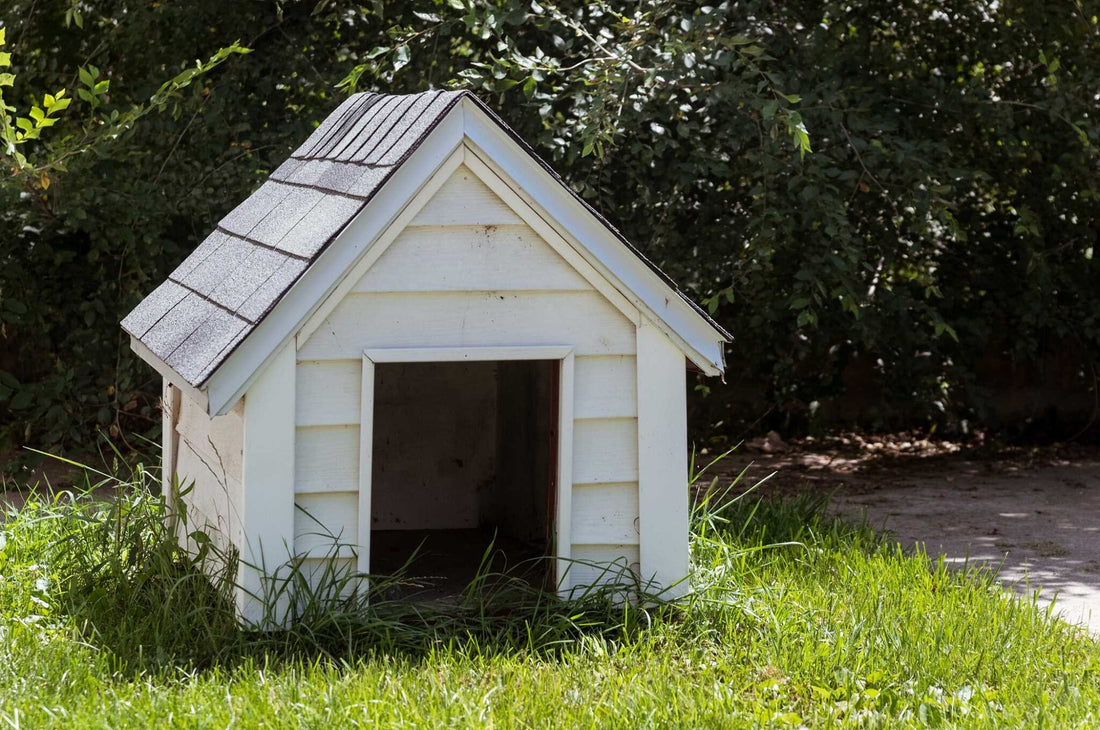 Top Tips for Keeping Your Dog Kennel Warm in Winter